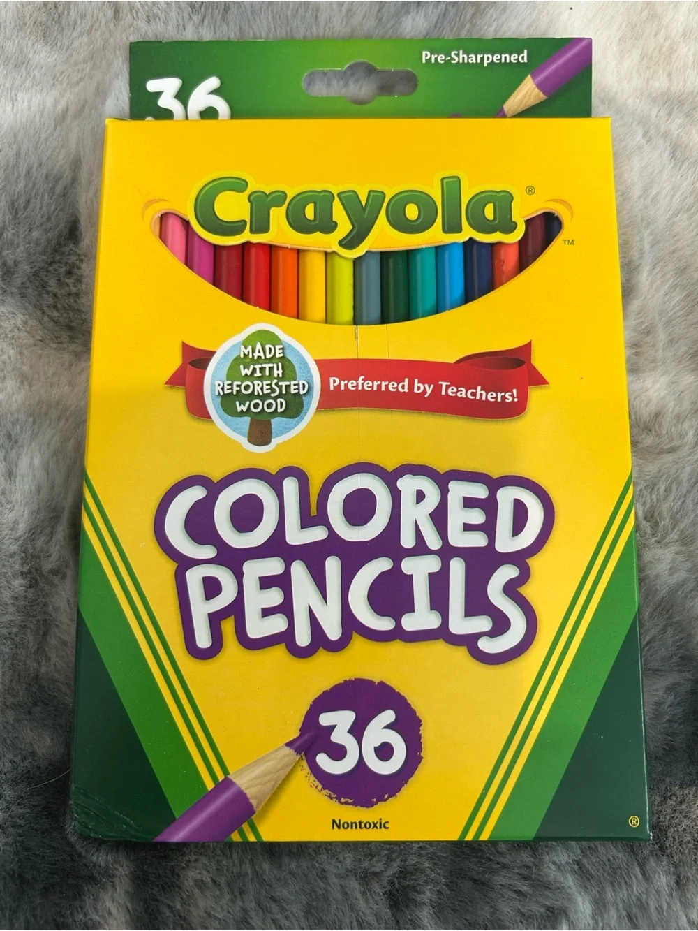 No Brand back school